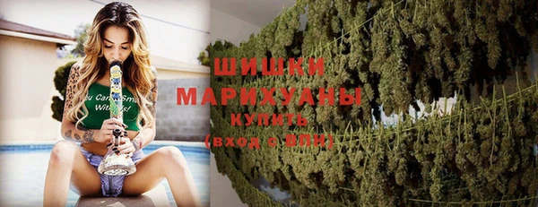 винт Баксан