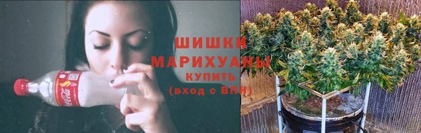 гидра Переславль-Залесский