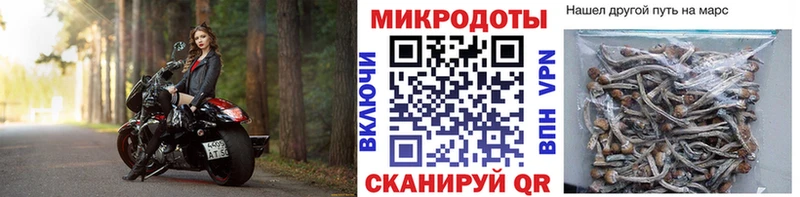 Галлюциногенные грибы Psilocybe  Купить закладки  Боровск 